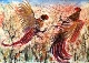 53 - Diane Poole - Cockfight - Watercolour.JPG